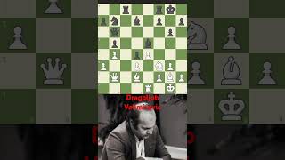 Dragoljub Velimirovic vs Ciric 1963 chessgamechessclassicchesscomajedrezxadrez [upl. by Grieve]