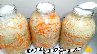 20 ЛЕТ МАРИНУЮ КАПУСТУ ТОЛЬКО ТАК ВСЕ ОТ НЕЁ БЕЗ УМА САМЫЙ ПРОСТОЙ И САМЫЙ ВКУСНЫЙ РЕЦЕПТ [upl. by Annovaj581]