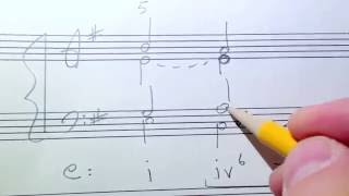 Phrygian Cadences Music Theory Discussion [upl. by Shaddock]