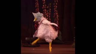 BALLET DUCK [upl. by Oman]