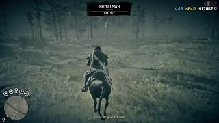 Heron Egg Location Red Dead Online [upl. by Lucho330]