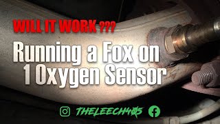 Tuning a Foxbody Mustang to run on 1 oxygen sensor  Will it Work [upl. by Jehanna]