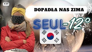 211  Nie jesteśmy gotowi na takie mrozy🥶  Seul KOREA POŁUDNIOWA [upl. by Anehsat]