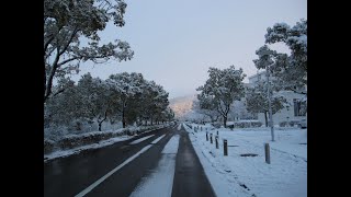 2024年1月25日（木）【岐阜大学キャンパスツアー】03Gifu University Campus Tour 03 on 1252024 [upl. by Trautman]