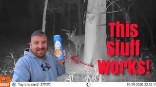 The best homemade deer attractant made I’m trying a new flavor [upl. by Reace937]