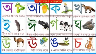 a ajogor asche tere  banjonborno sorborno  bangla bornomala  অ অজগর আসছে তেড়ে  বাংলা বর্ণমালা [upl. by Tnemelc]