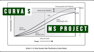 Generar curva S con MS Project [upl. by Nrojb]