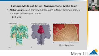 MICRO 111 Ch184 Host Damage and Manipulation  Introductory Microbiology [upl. by Snehpets]