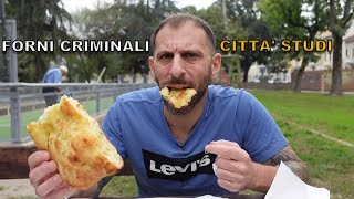 Forni criminali CITTA STUDI Milano [upl. by Gershom]