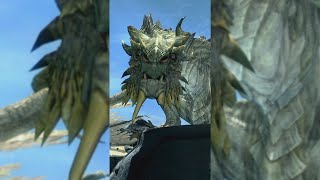 UNA CURIOSIDAD OCULTA DE SKYRIM 🐲 PAARTHURNAX 🐲 [upl. by Llyrrad652]