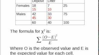 Simple Explanation of ChiSquared [upl. by Brause]