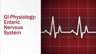 GI Physiology Enteric Nervous System [upl. by Ackler]