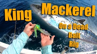 Oak Island NC Fishing  King Mackerel [upl. by Vanya440]