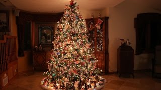 Building the Most Beautiful Christmas Tree Time Lapse [upl. by Khorma443]