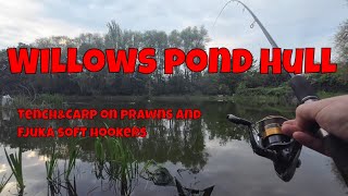 Tench and Carp on prawn and Fjuka bait Willows Hull [upl. by Rockafellow776]