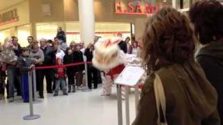 Chinese New Year Lion dance The potteries shopping centre Hanley 2012 [upl. by Ellita]