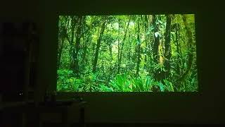 Transpeed x1 nano projector play youtube 4k [upl. by Encratis801]