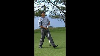 One of Tiger Woods HARDEST drives ever 😱 [upl. by Vernier]