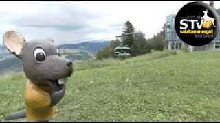 Sommertagung der besten Österreichischen SommerBergbahnen im Salzkammergut wwwstv1at [upl. by Drofxer855]