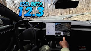 Tesla FSD Beta 123 vs The Winding Mountain Road [upl. by Yrek]