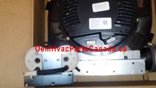 Carrier Draft Inducer Motor Assembly 340793762 with Pressure Switches [upl. by Edobalo]