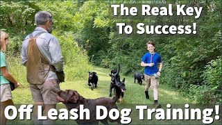 How To Keep Your Dogs Attention When Off Leash Training [upl. by Madelene]