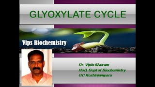 GLYOXYLATE CYCLE [upl. by Hauge]