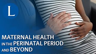 Maternal Health in the Perinatal Period and Beyond [upl. by Sivrahc]