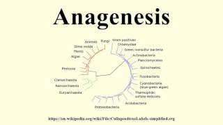 Anagenesis [upl. by Eli]