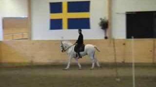 Working equitation training Paulo Bastos and Liso [upl. by Anirrak]