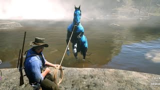 Arthur catch a most expensive Horse  Rdr2 Gameplay [upl. by Riplex]