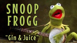 Snoop Frogg Kermit sings quotGin amp Juicequot [upl. by Siloam]