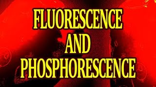 What are Fluorescence and Phosphorescence How it Works [upl. by Wanonah886]