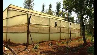 Low cost greenhouse farming [upl. by Keir]