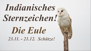 Indianisches Sternzeichen DIE EULE 🦉2311  2112 Sternzeichen Schütze [upl. by Ecirted741]