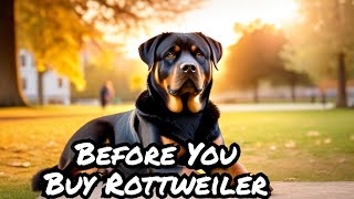 Essential Tips Before Getting a Rottweiler [upl. by Welcher]