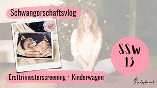 SSW 13  Ersttrimesterscreening  welches Geschlecht hat unser Baby  Schwangerschaftsvlog [upl. by Atteuqram]