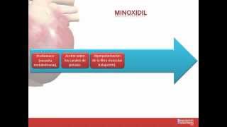 Tema 26 FARMACOLOGÍA CARDIOVASCULAR Fármacos indicados para la Hipertensión Arterial [upl. by Alehcim813]