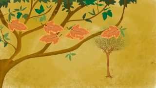 El otoño Autumn Song to learn the Seasons in Spanish for kids [upl. by Marika856]