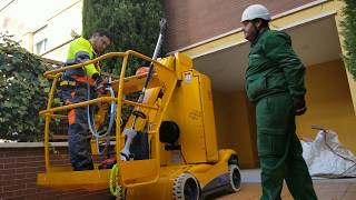 Como podar un ciprés alto  Jardinería profesional sierra de Madrid SL [upl. by Rats]