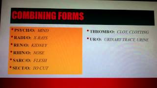 Medical Terminology Lesson 1 [upl. by Spracklen938]