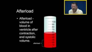 Preload Afterload and Cardiac Output [upl. by Sekofski974]