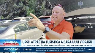 Urșii atracția turistică din zona barajului Vidraru Ei trăiesc din mâncarea primită de la turiști [upl. by Ashti]