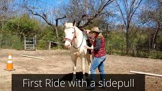 First Ride with a sidepull hackamore bitless bridle [upl. by Daenis]