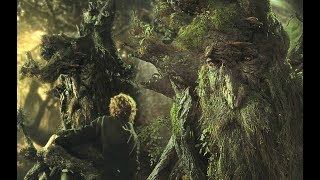 The History Of Treebeard [upl. by Jacquenette]