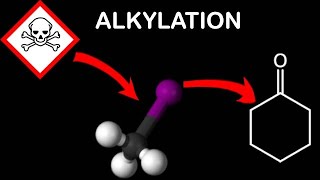 Alkylation of Cyclohexanone [upl. by Gnehs]