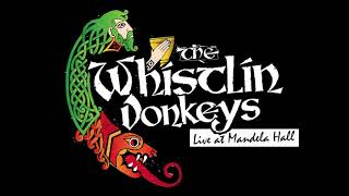 The Whistlin Donkeys  Star Of County Down  LIVE at Mandela Hall [upl. by Jourdan794]