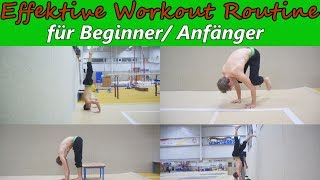 Handstand Workout Routine für BeginnerAnfänger LvL 1  Tutorial Deutsch English subtitles [upl. by Yedorb]