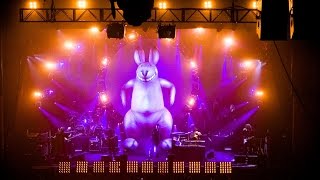 💜The Australian Pink Floyd Show 💚 Live at The Royal Albert Hall 2007💜 [upl. by Fabri]