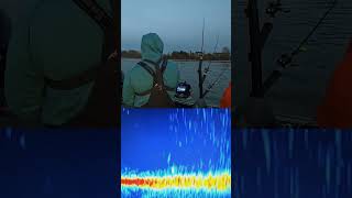 Using Livescope While Trolling for Walleyes walleye fishing [upl. by Maleki]